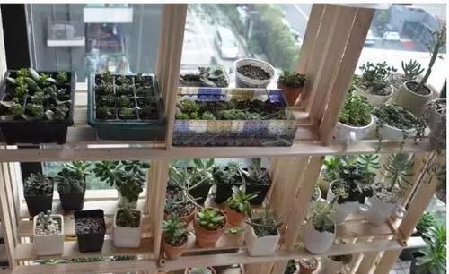  [吊起来养]阳台这样种花, 可以美上一整年, 整个小区都会羡慕你!