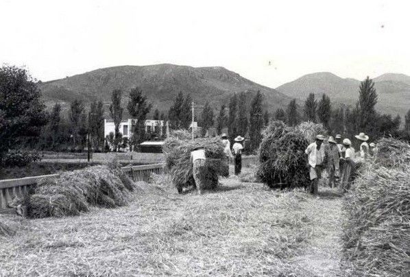老照片:一组70年代的韩国农村生活照，太珍贵了!