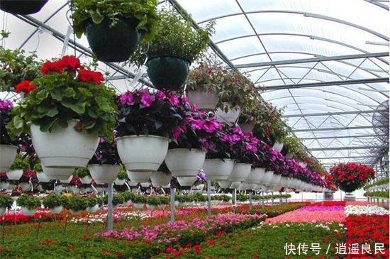  「市场」农村最缺什么市场，十种投资回报大的农村项目