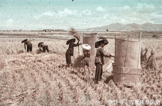  【九龙】60年代的香港九龙是什么样子堪比农村