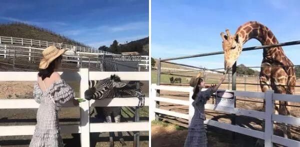 帮你避坑!无 P 无滤镜、各种身材试穿网红新衣,结果......丨推荐