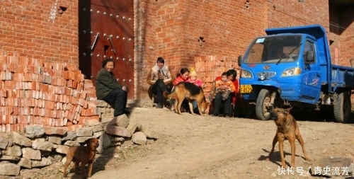  回村@未来俩月，农村迎来3大“鄙视链”，几乎村村都有，你遇到