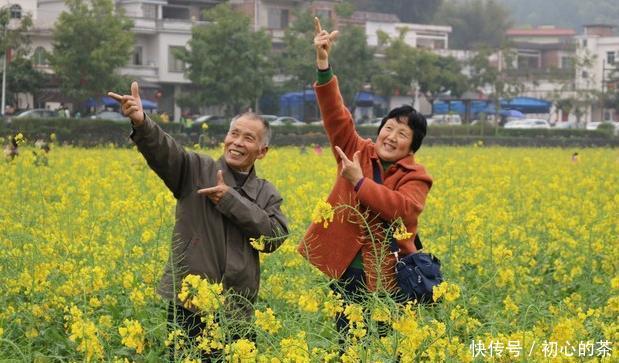 六旬老人偷爬树采杨梅坠亡,家属向景区索赔60万:树太容易爬