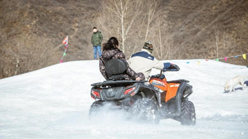 到了这里，我才更懂冬天