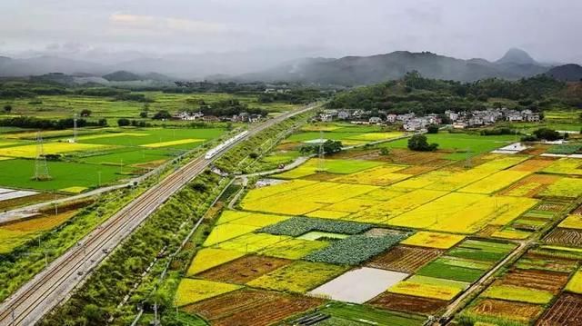 广西十多个县获“自治区级生态县”称号，点进来看有没有你家乡!