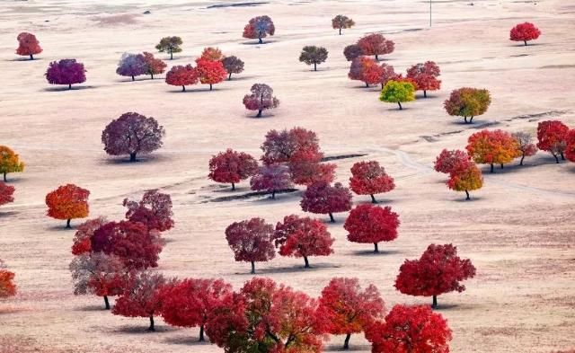 专属于十月的旅行目的地 你知道几个？