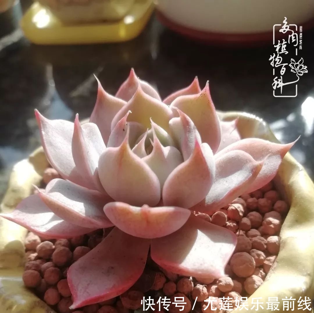  『那种』我爱的，就是你的存在！只要努力该来的都在路上！