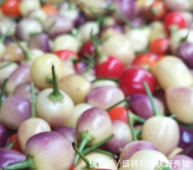 悬崖上的村庄,沉醉其中不知归路