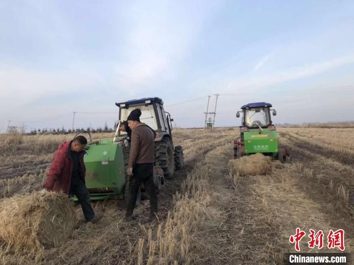 免耕播种■黑龙江省5521.9万亩地“秸秆离田” 实现“零火点”