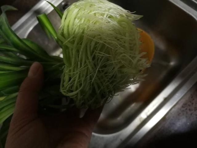  『大白』3种“吃土花”，1年不换盆，大白根挤满整个盆，土都被“吃”光