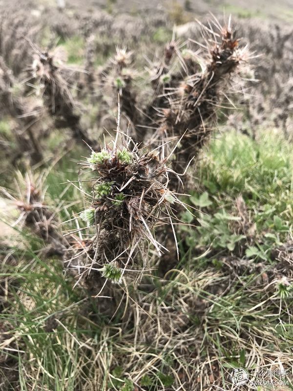 行走在路上 篇七:身坚志残的两天两夜逆时针大朝台，是自虐?是修