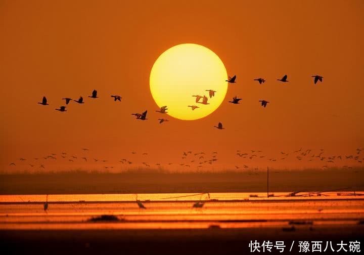 “七绝圣手”只有一首诗写到太湖，6句五言诗成就一幅绝美画卷