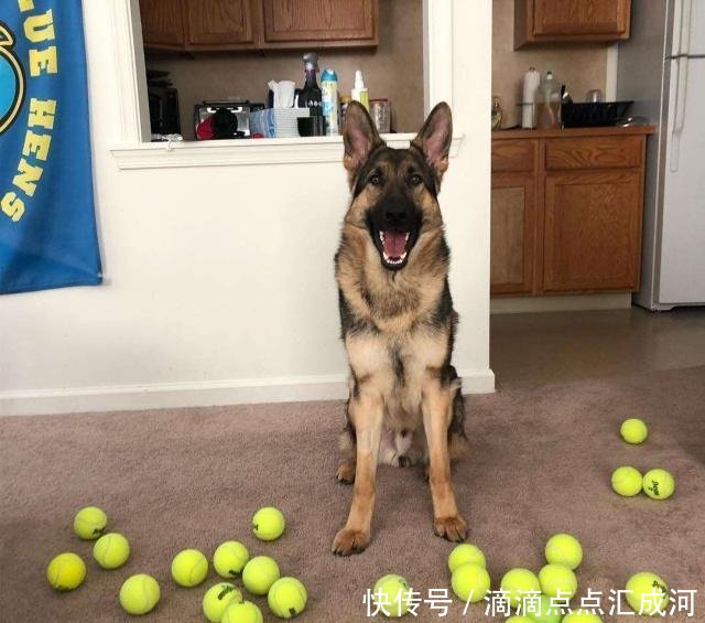  #缺一不可#兰花如何才能茁壮成长这3条缺一不可，五分钟阐述养兰心得
