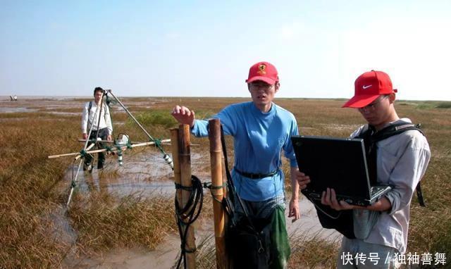  外来物种|“教授”好心从国外进口一种植物，如今已经泛滥成灾成为入侵物种！