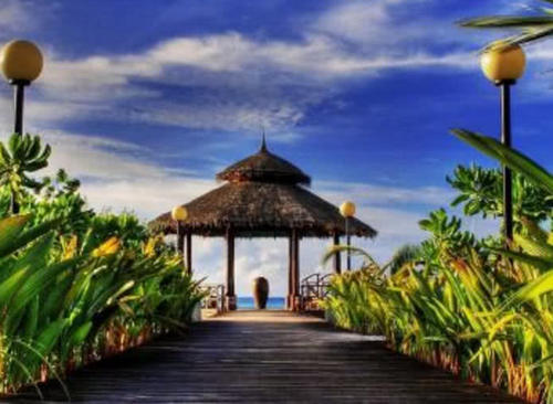 三亚是旅游胜地，为什么猫冬游客越来越少？原因是如此的现实