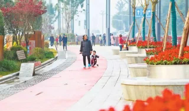 主城将建17条特色山城步道！北滨路步道元旦节前投用