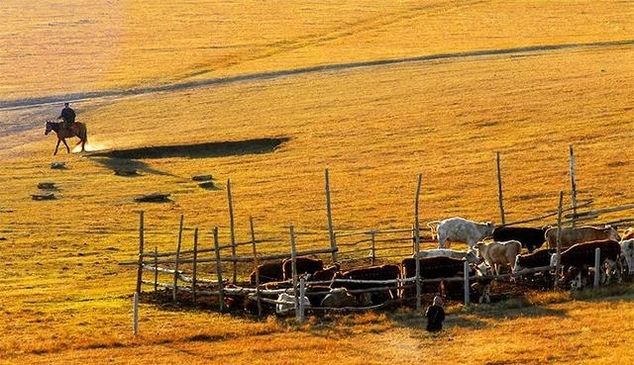 有一种美，叫秋天的乌兰布统