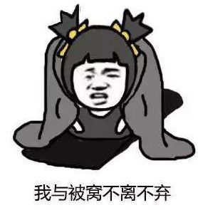 成都出大太阳，必须晒！接下来还有4次降温，大家挺住！