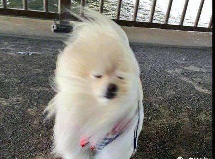  冷空气■又来了！新一波冷空气周一“上班”，最低温度降至...