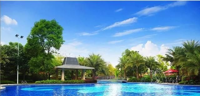  小区@被某小区“塑胶人工湖”惊到了？看看自带泳池的盘有哪些