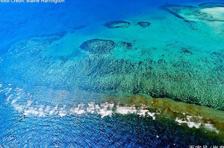 被称为避世天堂的新喀里多尼亚，可一年也只有几十个中国人前往