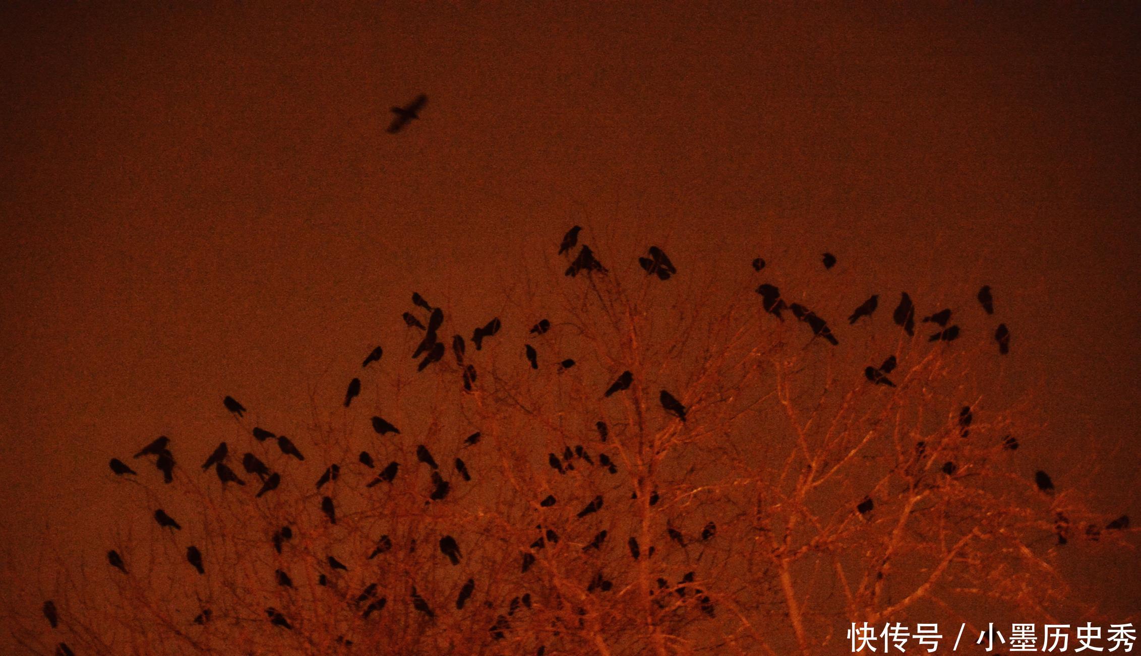 这里曾是清代公主墓地,现在是北京著名商业区,每到晚上乌鸦成群