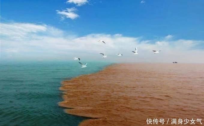 黄河入海口生长独特的“三春柳”,真想不到,它的种子竟来自这里