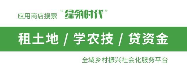 农村低保申请范围扩大，符合4个条件，即可申请