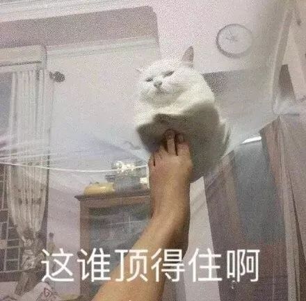  南方|冷空气发货！北方要降温了！但南方......