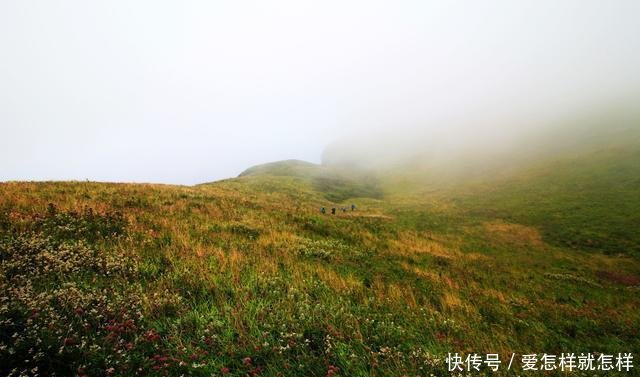 贵州这地方有着世界上最大面积的野韭菜花带，风景独特，值得一览