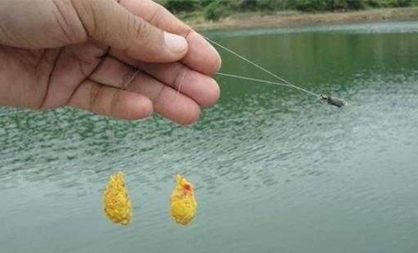 【红薯泥】几种民间自制的红薯诱饵，小鱼不碰，杀死鲫鱼，野生捕捞必备诱饵！