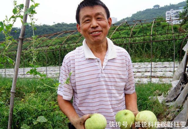  「值钱」发达的农村地区怎么办？整合后土地将变得值钱 不知道的