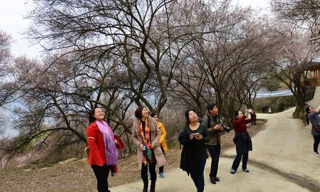 李子柒家乡绵阳风情