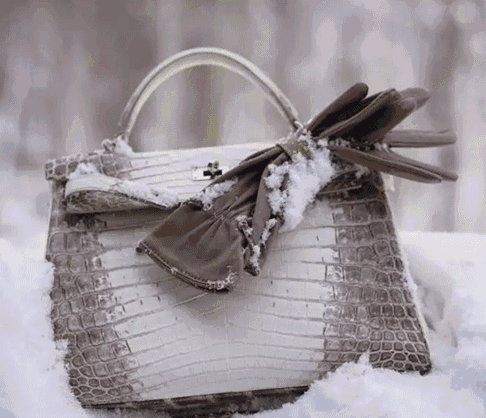 你知道世界上拥有最多爱马仕包包的女人是谁吗?!