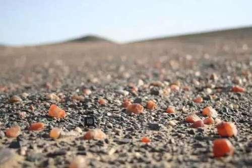 新疆捡石头最美季节又到了，教你在16个不同的地方捡石头！