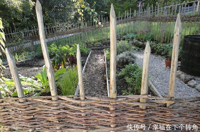  「快乐」篱笆小院住在乡村的快乐，你想体验吗！