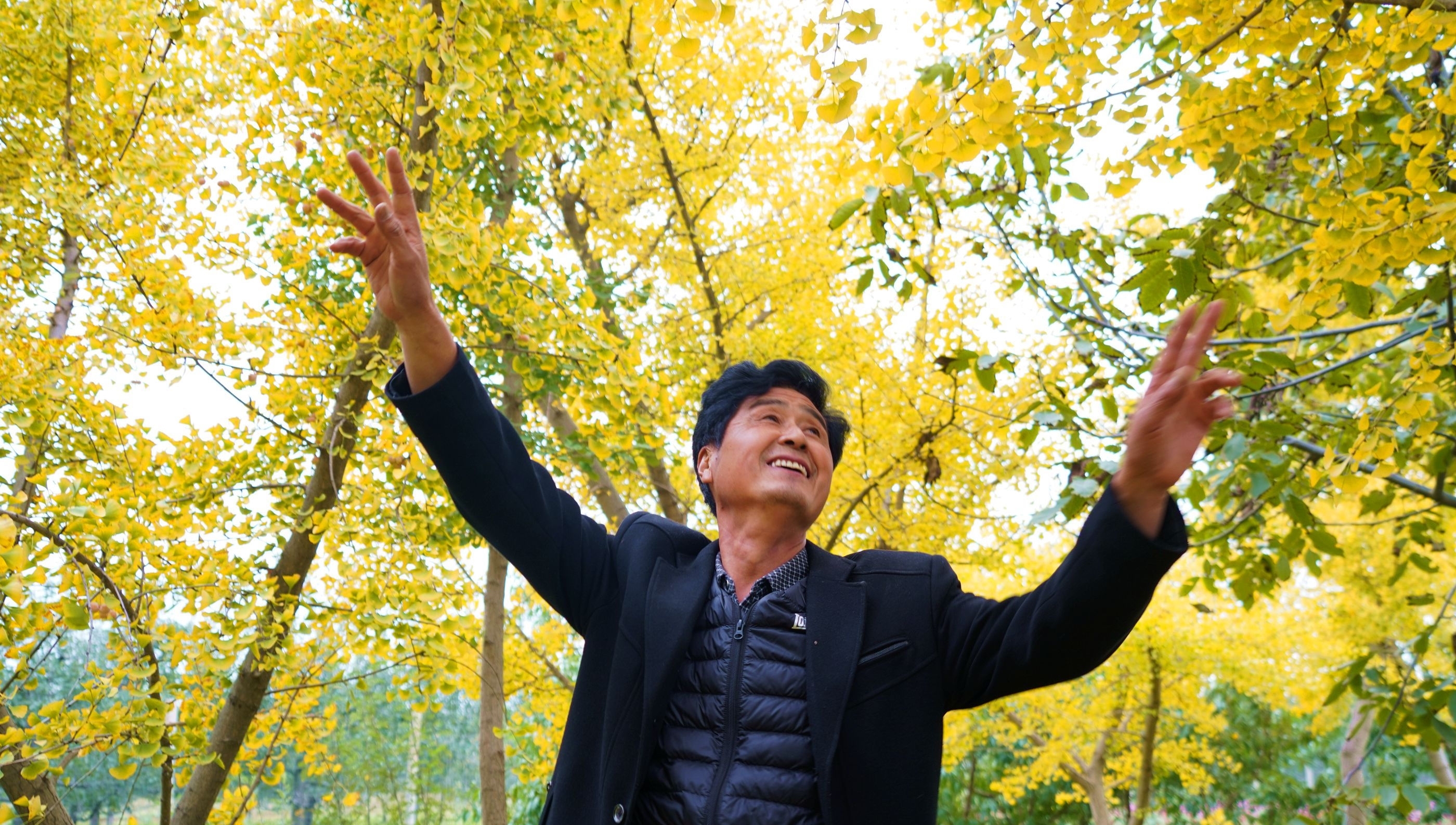  [银杏]山西农民8亩银杏林扔掉20年，现今坐在地头收门票，月赚10