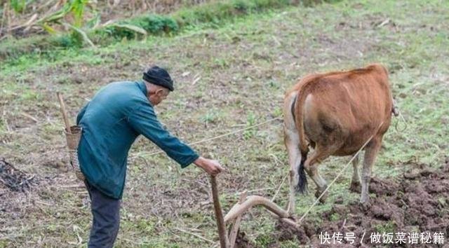 专家为安全考虑应该禁止三轮车进城，老农3句话反问专家
