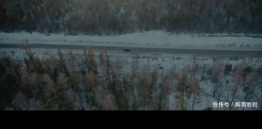 春节档免费播出