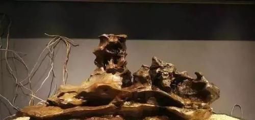  捡石：＂那个阿拉善地区“捡奇石”的农民大家还记得么，现在他过的怎么样＂