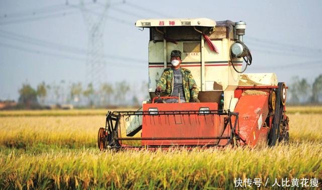 下半年起，农民可领取这8项补贴，单项补贴款最高过万！