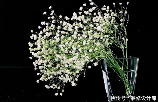  『家里』喜欢在家里养花，就选择花大色艳，花期还长的3种花，谁养谁喜欢