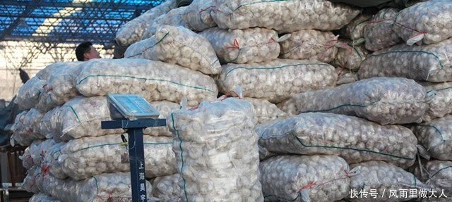 农村人种植的这种作物卖到12元1斤 农民却没有获利