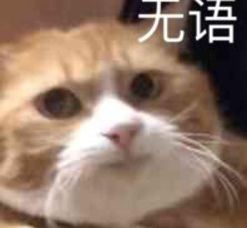  [感受]有个腿精女友是什么感受？血槽已空…