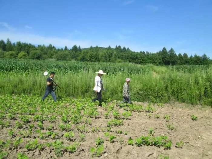 农村土地确权后，户口迁至城市，土地还会被收回吗？