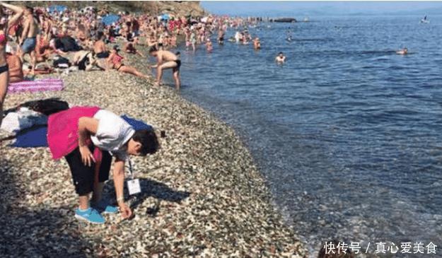 中国游客再次被“点名”，游客“洗劫”玻璃海滩被俄媒报道！