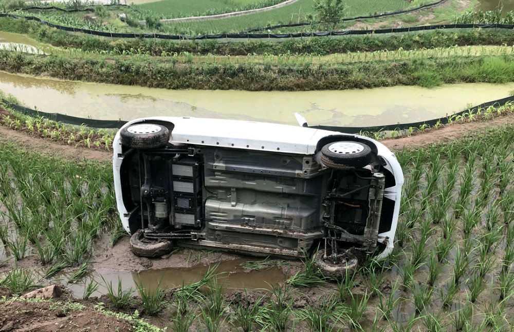 【电动小车】太刺激了！一辆汽车冲进江安的稻田，拐了180度