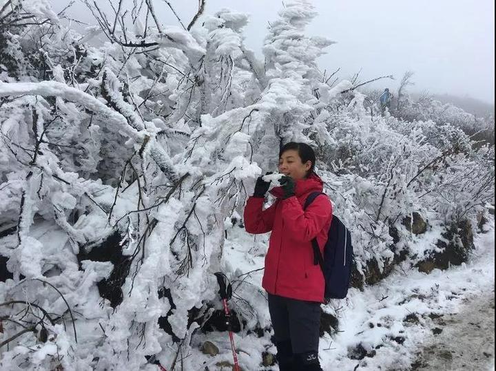 这次，你有错过绿春湖的雪景吗？那种美，简直难以名状……