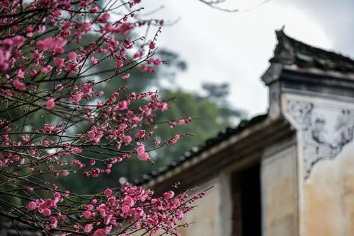 有一种美，叫遇见婺源烟雨！