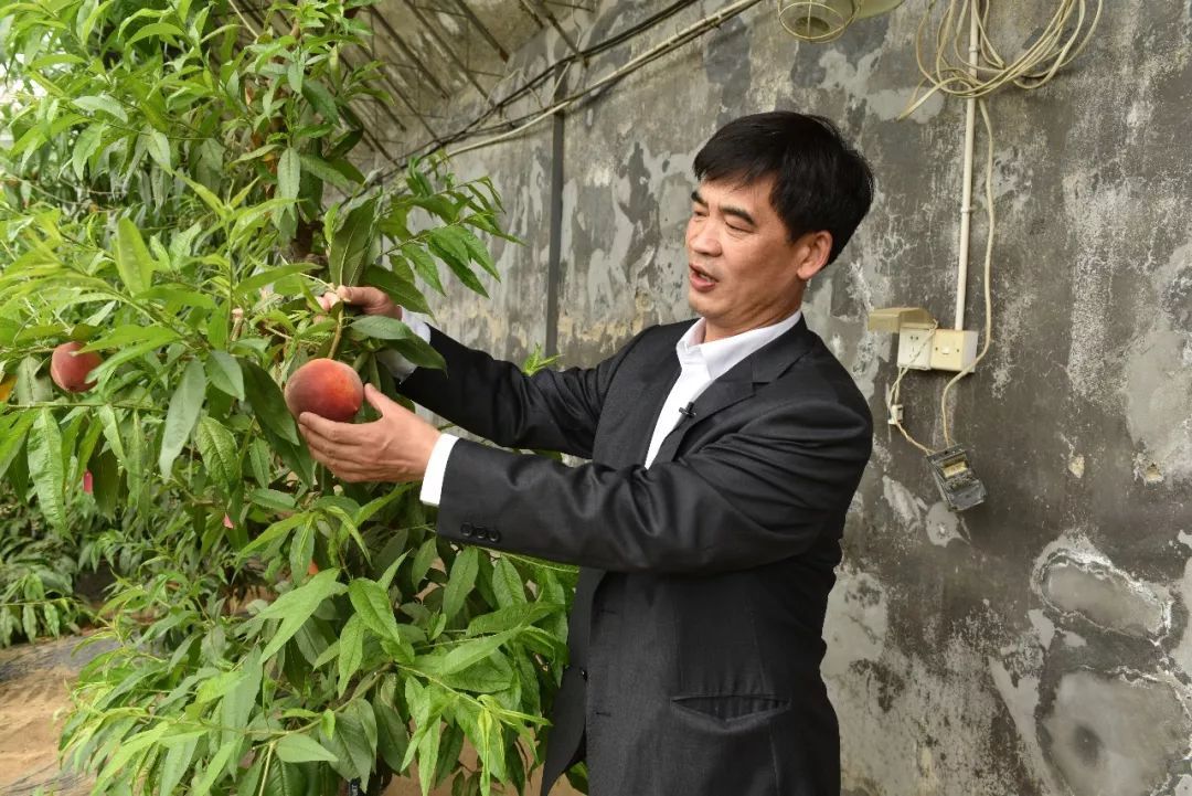 山东农业大学副校长、博士生导师高东升病逝，享年52岁